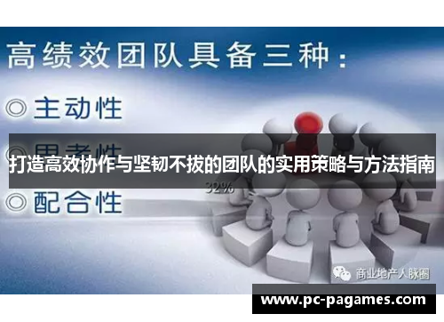打造高效协作与坚韧不拔的团队的实用策略与方法指南 打造高效协作与坚韧不拔的团队的实用策略与方法指南