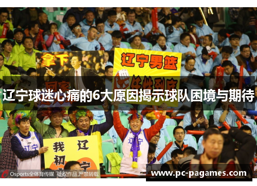 辽宁球迷心痛的6大原因揭示球队困境与期待 辽宁球迷心痛的6大原因揭示球队困境与期待