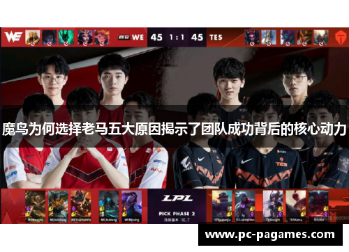 魔鸟为何选择老马五大原因揭示了团队成功背后的核心动力
