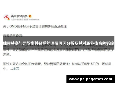 魏震禁赛与罚款事件背后的深层原因分析及其对职业体育的影响 魏震禁赛与罚款事件背后的深层原因分析及其对职业体育的影响