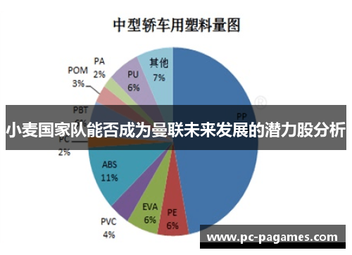 小麦国家队能否成为曼联未来发展的潜力股分析