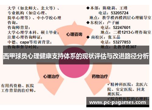 西甲球员心理健康支持体系的现状评估与改进路径分析