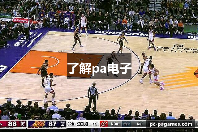 了解pa电子